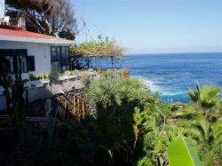 Casa Georgia  im grünen Teil der Insel Teneriffa