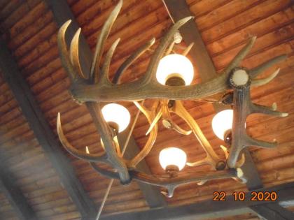 Kronleuchter, Deckenlampe, Hängelampe, Geweih, Gehörn, Geweihlampe, Geweihkronle