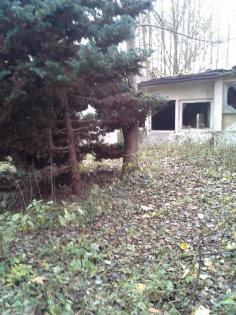30900 Wedemark 2021qm Grund in Hellendorf naturnah