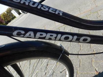 (78) 7 Gang Rücktrittsbremse 26 Zoll Rh 49 Korb am Lenker