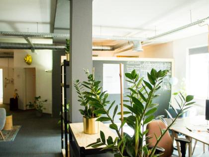 BASE Co-Working: A new home for your Start-Up
