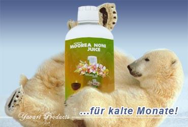 Direct Natur der Stern 2021