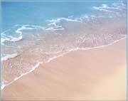 Erfolgreiche Strategien nutzen