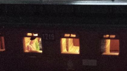 Ausstattung Ihrer Waggons mit Beleuchtung und Fahrgästen (Spur TT)