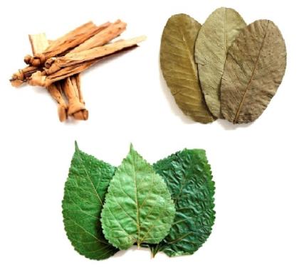 10 Stück Guaveblätter / Laub und Garnelenfutter für Garnelen Krebse Welse und Fi