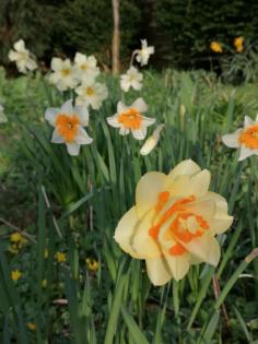 Insel Fehmarn in der Ostsee