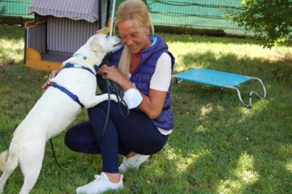 BELISSA - Labrador-Mix - 7 Jahre - Tierhilfe-Franken e.V.