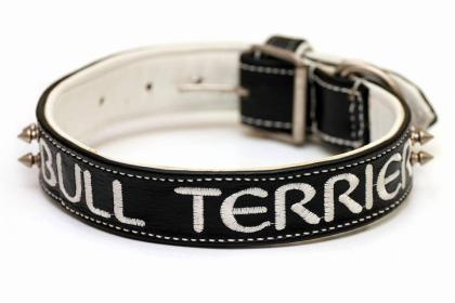 Lederleine, Lederhalsband, Ledergeschirr, auch nach Wunsch