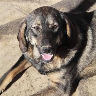 Nala - wird mal ein grosses Maedchen