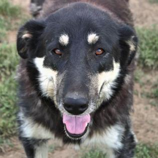 Zumby - benötigt nach einen Unfall Physiotherapie für den Rücken