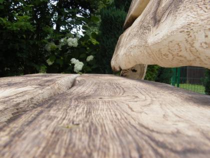 Günstige Massiven  Gartenmöbel-Sets aus  Eiche für den Garten & die Terrasse