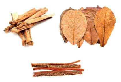 Versch. Naturfutter / Laub als Futter für Garnelen, Krebse Apfelschnecken, Welse