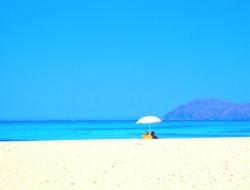 Strandnahe Ferienhäuser und Fincas auf Mallorca