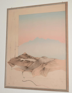 4 Bilder von Bruno Bruni Originallithografie mit Rahmen ca. 62, 5 x 82 cm.