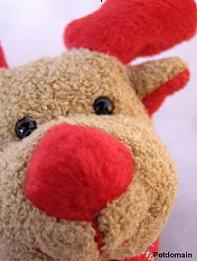 Petdomain.de Heimtierbedarf