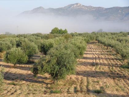 Finca in Sax bei Alicante in Spanien
