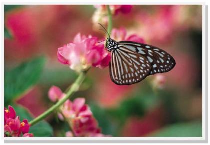 Gratis Grußkartenversand, E-Cards, Schreiben Sie doch mal wieder...