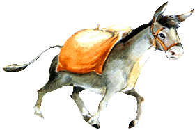 Mein Briefkasten mein Goldesel