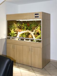 Hochwertige Terrarien in jeder Größe als exclusives Möbelstück