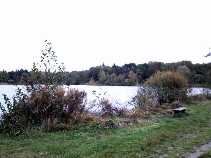 Angelgewässer Woldsee Bilder von Angel.Blog. Zwischen Weser und Ems