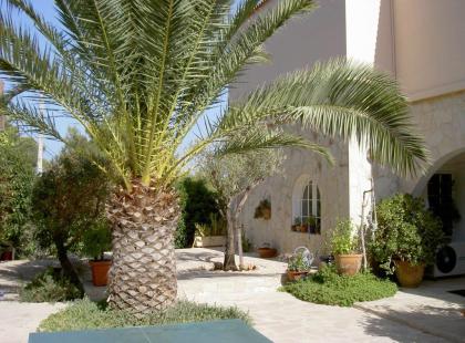 Haus in Cala Vadella Ibiza  mit Gasthaus zum Verkauf