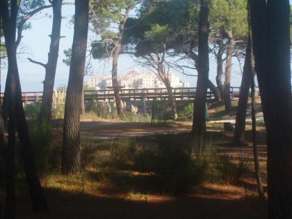 Calvi, Korsika: Studio Wohnung in der Pinede