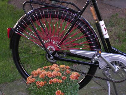 DAS Damenvintage Rad von Hercules Bj.62