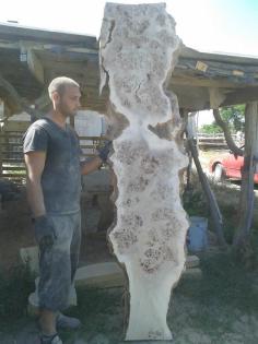 Getrocknetes Schnittholz aus Topolya - Pappelholz bestellbar!