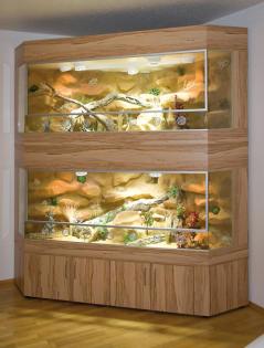 Hochwertige Terrarien in jeder Größe als exclusives Möbelstück