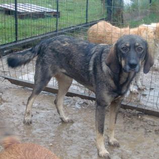 Nala - wird mal ein grosses Maedchen