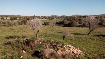 Ferien auf Mallorca bei Santanyi