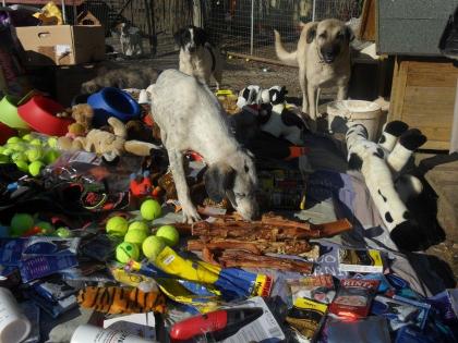 Sach- und Futterspenden dringend gesucht!