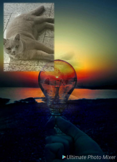 Tierbetreuung Service 0911 25 35 07 01 Handy 01573 319 399 3