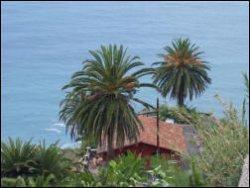 Finca Taurus