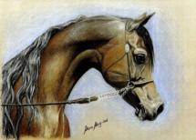 Tierporträts nach Fotovorlage