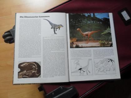 Bildband Dinosaurier
