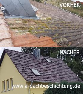 Dachbeschichtung-Dachreinigung-Dachsanierung, 