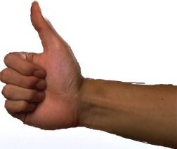 Schritt für Schritt zum Erfolg