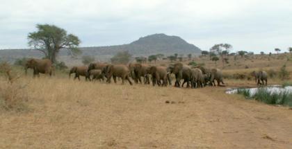 Kenia – Safari / 6 Tage atemberaubende Erlebnisse!!!