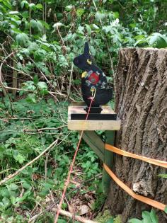 Lust auf was Neues ? 