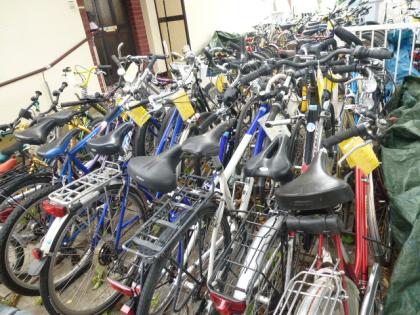 (19) 21 Gang 28 Zoll Rh 55 gefedert Scheibenbremsen