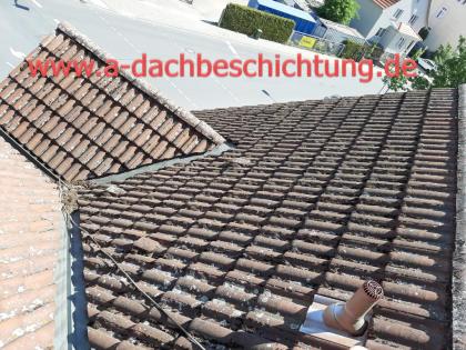 Dachbeschichtung-Dachreinigung-Dachsanierung, 