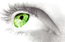 Wir brauchen Verstärkung !!