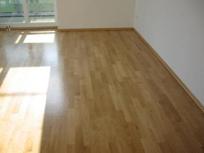 Parkett-Dielung-Laminat