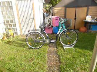 (139) 3 Gang Rücktrittsbremse 28 Zoll tiefer Einstieg Korb am Lenker