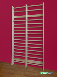 Doppelfeld sprossenwand 2.5x1.68 m