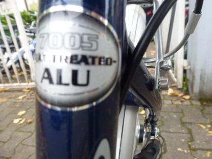 (224) 7 Gang Rücktrittsbremse + 2 Felgenbremsen 28 Zoll Rh 45 A