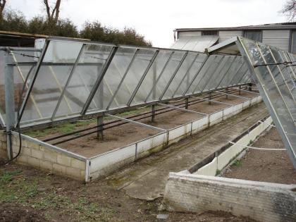 VERKAUF AUS GÄRTNEREI - BESTÄNDEN