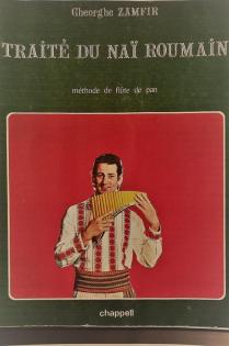 Geigenunterricht und Panflotenunterricht - in ganz Deutschland.