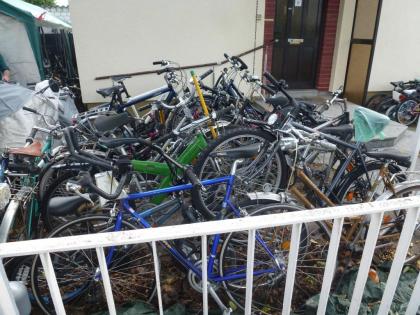 (44) 16 Zoll SCOTT mit Rücktrittsbremse